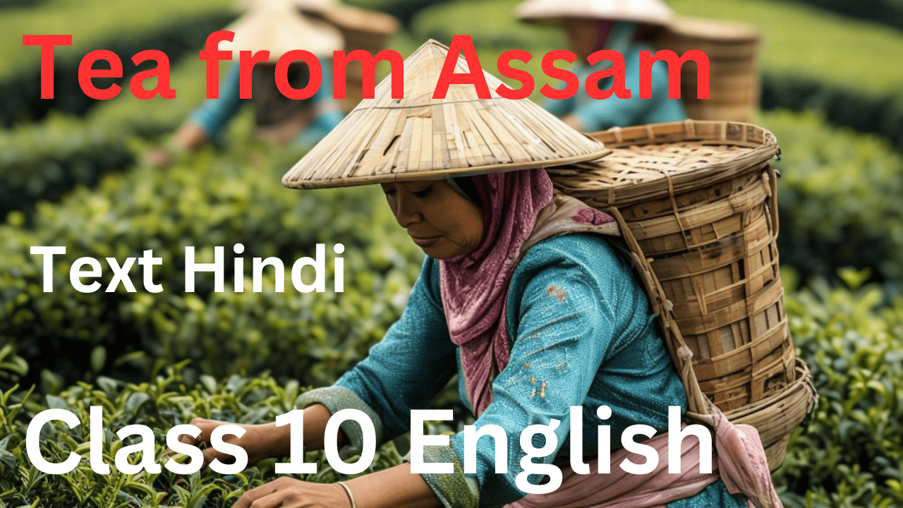 NCERT Solution of Glimpses Of India Class 10 English - ReadLearnExcel